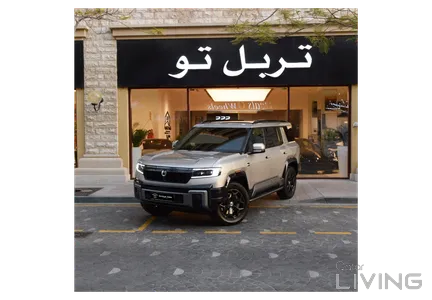 بي واي دي دينزا بي 8 2027